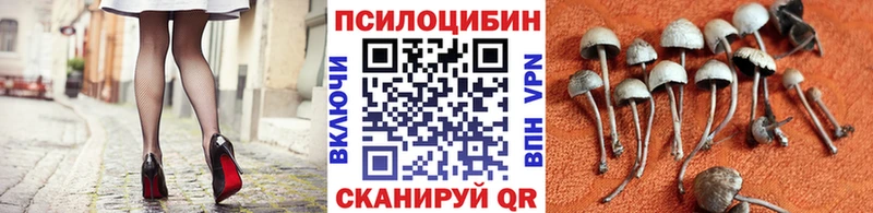 Псилоцибиновые грибы прущие грибы  omg как войти  Новотитаровская 